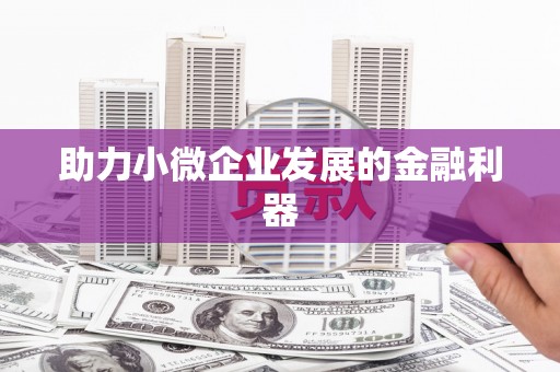 内湖助力小微企业发展的金融利器