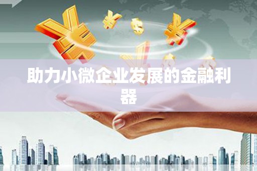 内湖助力小微企业发展的金融利器