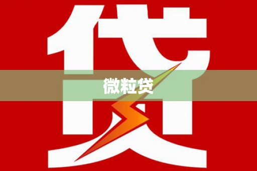 内湖微粒贷