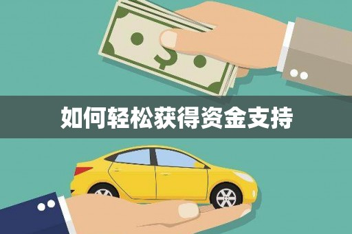 内湖如何轻松获得资金支持