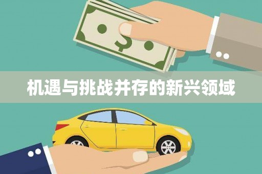 内湖机遇与挑战并存的新兴领域