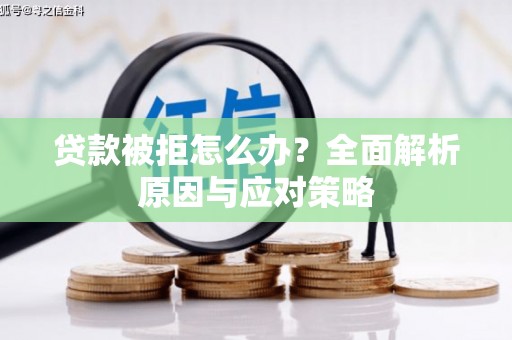 内湖贷款被拒怎么办？全面解析原因与应对策略