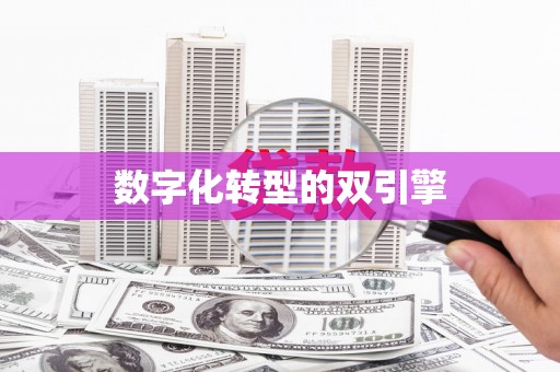 内湖数字化转型的双引擎