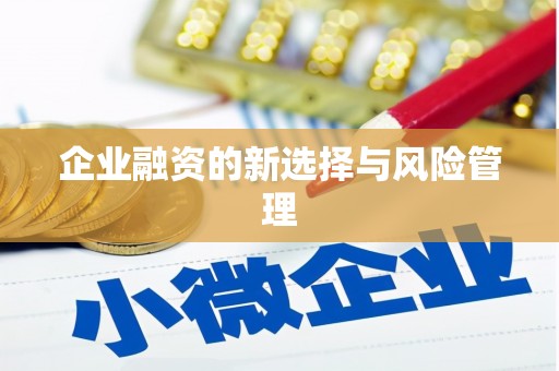 内湖企业融资的新选择与风险管理