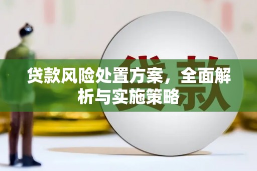 内湖贷款风险处置方案，全面解析与实施策略
