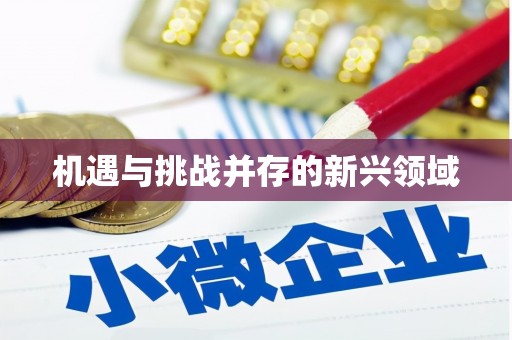 内湖机遇与挑战并存的新兴领域