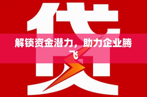 内湖解锁资金潜力，助力企业腾飞