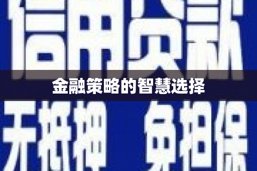 内湖金融策略的智慧选择