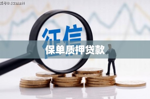 内湖保单质押贷款