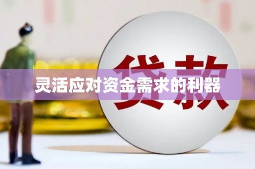 内湖灵活应对资金需求的利器