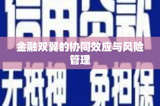 内湖金融双翼的协同效应与风险管理