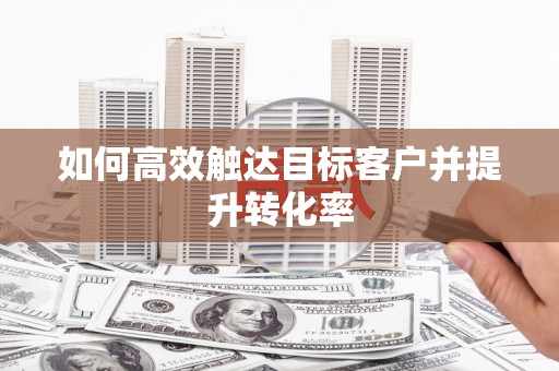 内湖如何高效触达目标客户并提升转化率