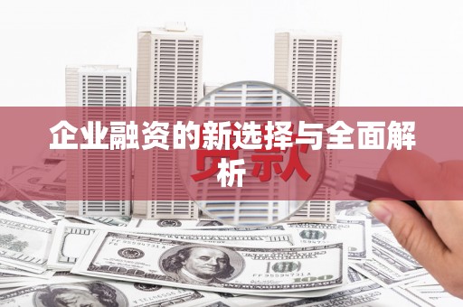 内湖企业融资的新选择与全面解析
