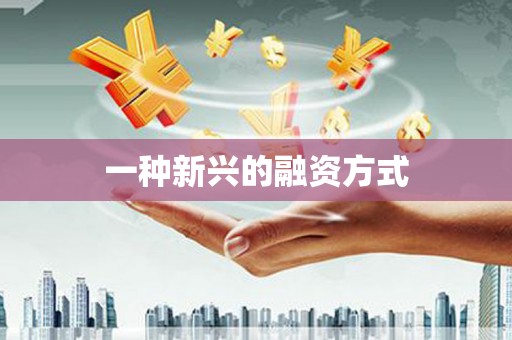 内湖一种新兴的融资方式