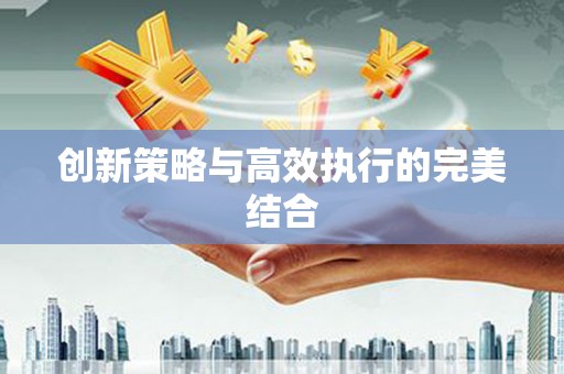 内湖创新策略与高效执行的完美结合