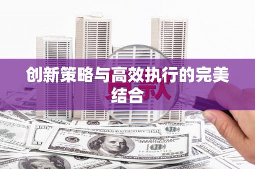 内湖创新策略与高效执行的完美结合