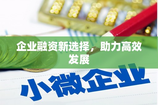 内湖企业融资新选择，助力高效发展
