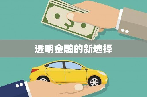 内湖透明金融的新选择
