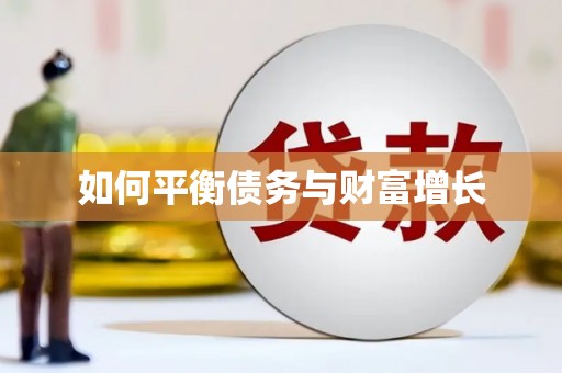 内湖如何平衡债务与财富增长