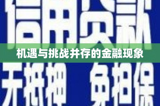 内湖机遇与挑战并存的金融现象