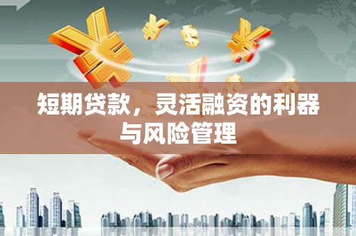 内湖短期贷款，灵活融资的利器与风险管理