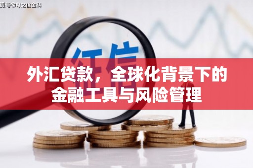 内湖外汇贷款，全球化背景下的金融工具与风险管理