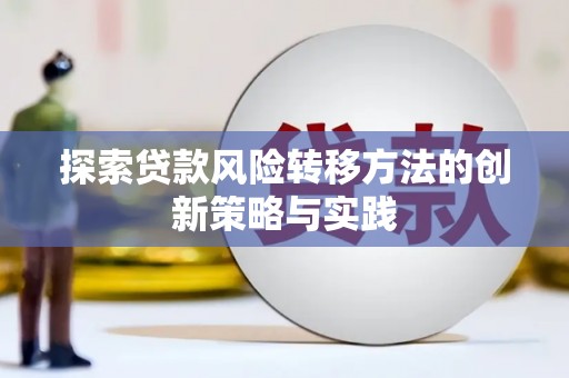内湖探索贷款风险转移方法的创新策略与实践