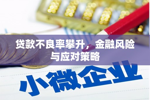 内湖贷款不良率攀升，金融风险与应对策略