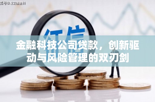 内湖金融科技公司贷款，创新驱动与风险管理的双刃剑