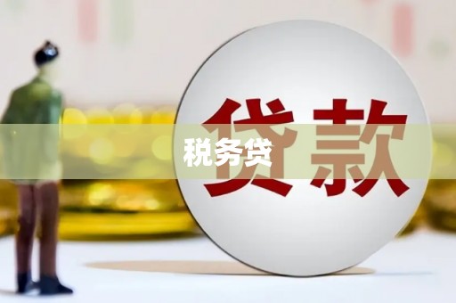 内湖税务贷