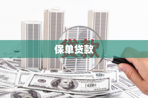 内湖保单贷款